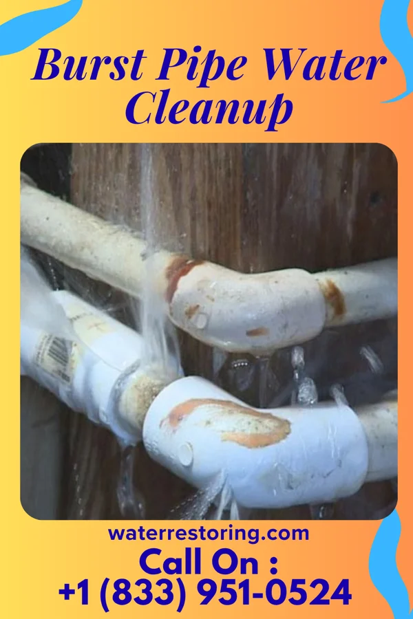 Burst Pipe Water Cleanup in Wiconsico, PA