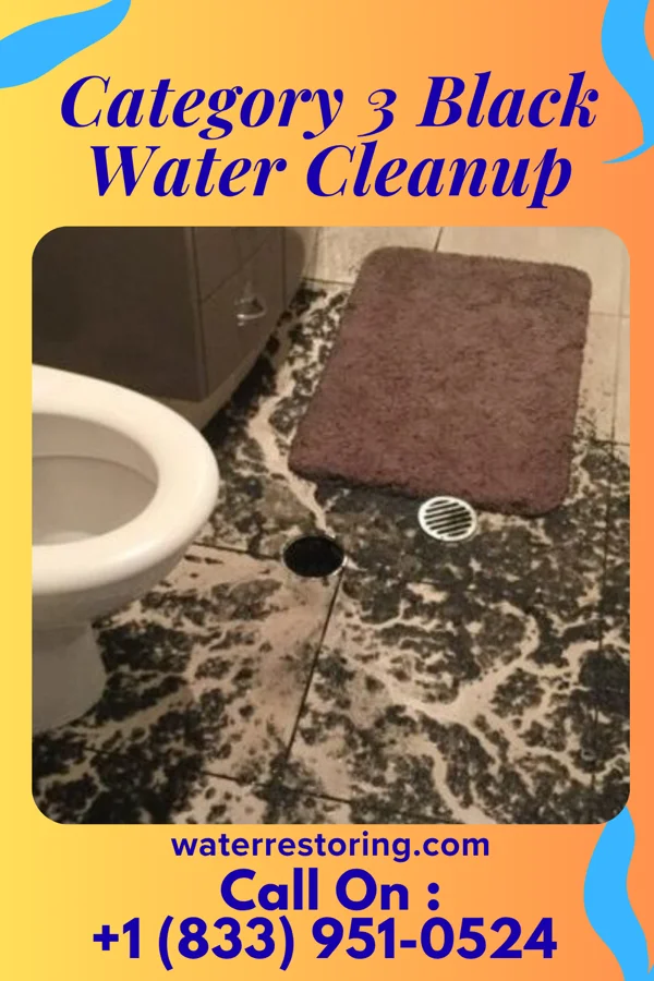 Category 3 Black Water Cleanup in Wiconsico, PA