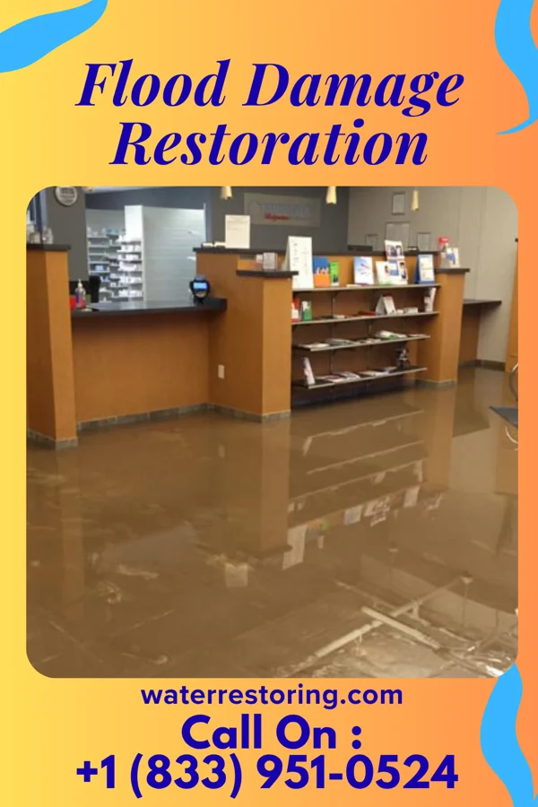 Flood Damage Restoration in Wiconsico, PA