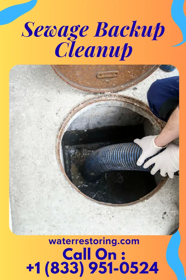 Sewage Backup Cleanup in Wiconsico, PA