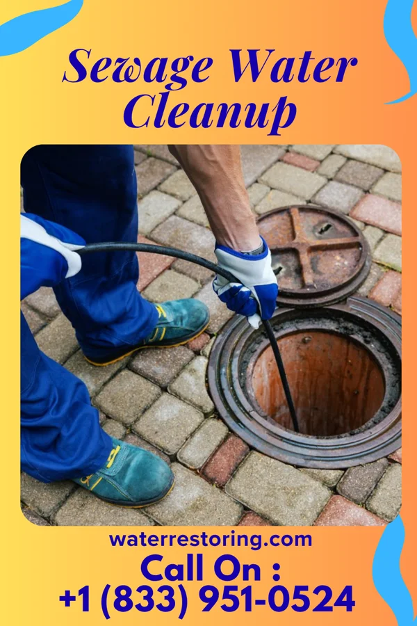 Sewage Water Cleanup in Wiconsico, PA