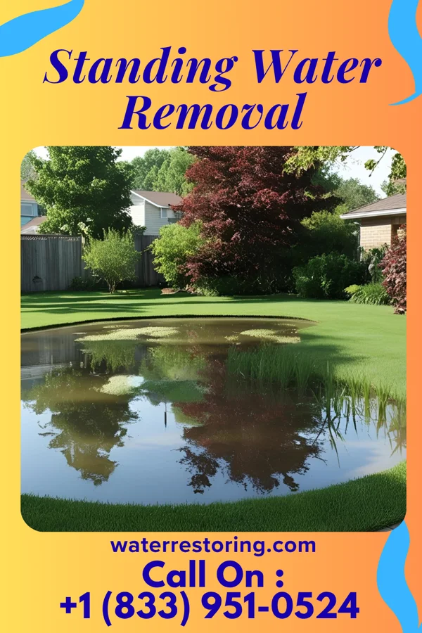 Standing Water Removal in Wiconsico, PA